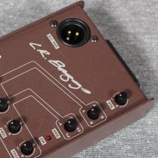 L.R.Baggs Para Acoustic DI_4