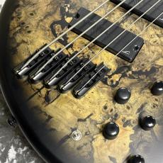 Legator HB5F - Jupiter Burst Buckeye Burl -【4.11kg】_3