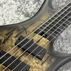 Legator HB5F - Jupiter Burst Buckeye Burl -【4.11kg】_4