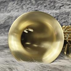 H. Selmer SA80II Brushed Satin W/E Alto Saxphone_9