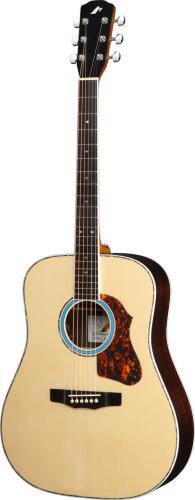 Morris M-AH 【青木陽菜シグネチャーモデル】【購入特典付き】【8/5入荷予定ご予約受付中】