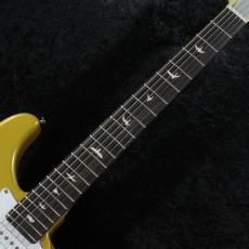 Paul Reed Smith [PRS] 【限定カラー】SE SILVER SKY -Gold Spark- #CTI H077769【3.37kg】【2025】_3