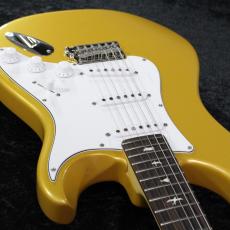 Paul Reed Smith [PRS] 【限定カラー】SE SILVER SKY -Gold Spark- #CTI H077769【3.37kg】【2025】_8