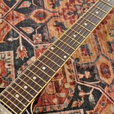 Tokai ES-201F TB_7
