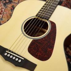 Morris F-1 NAT -Performers Edition-_4