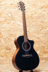 Taylor 112ce LTD Blacktop_3