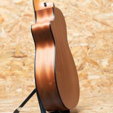 Taylor 112ce LTD Blacktop_5