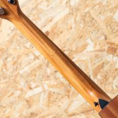 Taylor 112ce LTD Blacktop_7