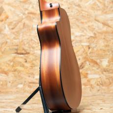 Taylor 112ce Special Edition Honeyburst_5