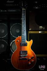 Gibson Les Paul GT / 2006_4