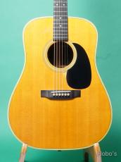 Martin D-28 w/PU (L.R.Baggs Lyric)