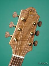 Charis Acoustic (Bill Wise) Air "Kenny Loggins Model"_3