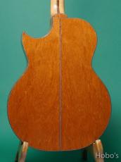 Charis Acoustic (Bill Wise) Air "Kenny Loggins Model"_4