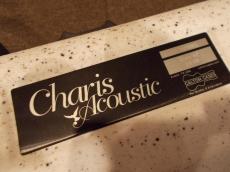 Charis Acoustic (Bill Wise) Air "Kenny Loggins Model"_7