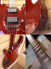 SCHECTER Hellraiser AD-C-1-HR/BCH_6