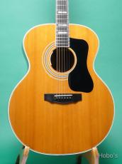 Guild F-50R w/PU装備 (L.R.Baggs Anthem) [Price Down!]
