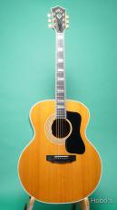 Guild F-50R w/PU装備 (L.R.Baggs Anthem) [Price Down!]_2