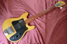 Rickenbacker 3000