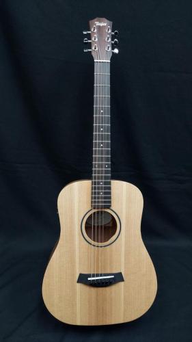 Taylor BT1e