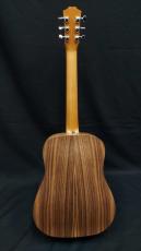 Taylor BT1e_2