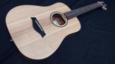 Taylor BT1e_4