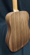 Taylor BT1e_8