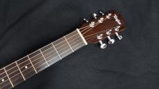 Taylor BT1e_5