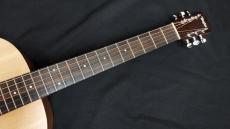 Taylor BT1e_6