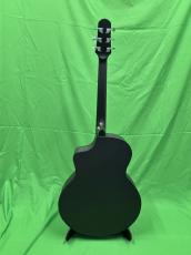 NATASHA Black Hole  /with L.R.Baggs Element VTC_3