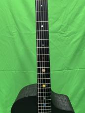 NATASHA Black Hole  /with L.R.Baggs Element VTC_6