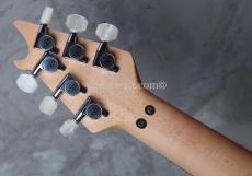 EVH Wolfgang Hard Tail Sunburst_5