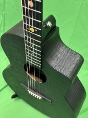 NATASHA Black Hole  /with L.R.Baggs Element VTC_7