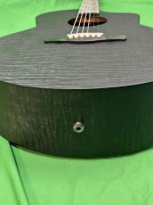 NATASHA Black Hole  /with L.R.Baggs Element VTC_9