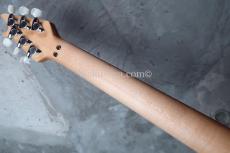 EVH Wolfgang Hard Tail Sunburst_6