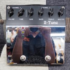 Bad Cat 2-Tone_6