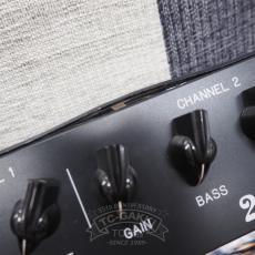 Bad Cat 2-Tone_7