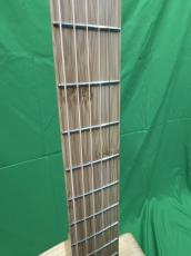 NATASHA JC Bamboo  /with L.R.Baggs Element VTC_5