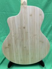 NATASHA JC Bamboo  /with L.R.Baggs Element VTC_6