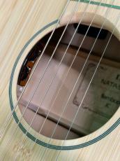 NATASHA JC Bamboo  /with L.R.Baggs Element VTC_8