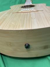 NATASHA JC Bamboo  /with L.R.Baggs Element VTC_9