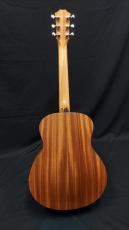 Taylor  GS Mini _2