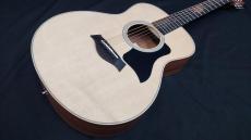 Taylor  GS Mini _3