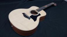 Taylor  GS Mini _5