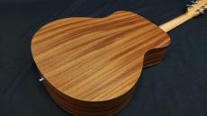 Taylor  GS Mini _6