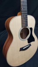Taylor  GS Mini _8