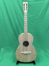 NATASHA OO Bamboo  /with L.R.Baggs Element VTC_2
