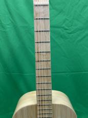 NATASHA OO Bamboo  /with L.R.Baggs Element VTC_5