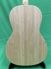 NATASHA OO Bamboo  /with L.R.Baggs Element VTC_7