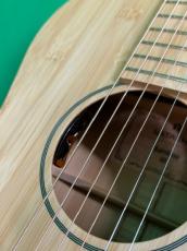 NATASHA OO Bamboo  /with L.R.Baggs Element VTC_9