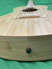 NATASHA OO Bamboo  /with L.R.Baggs Element VTC_10